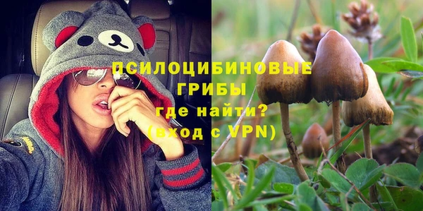 спайс Алексеевка