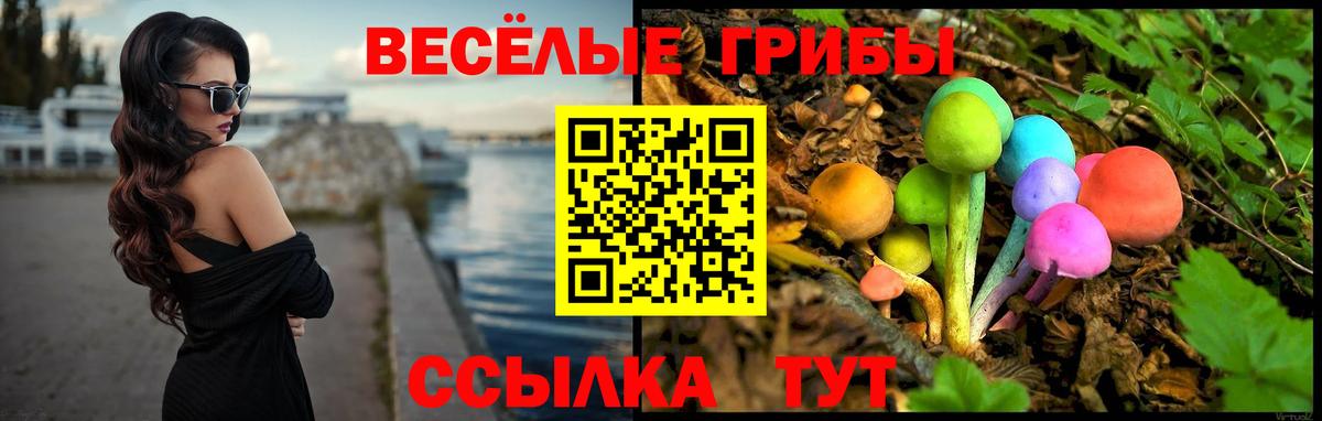 Галлюциногенные грибы MAGIC MUSHROOMS  Псилоцибиновые грибы мухоморы  Белгород  купить   Вход с VPN 